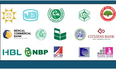 মূলধন খেয়ে ফেলছে ১৫ ব্যাংক