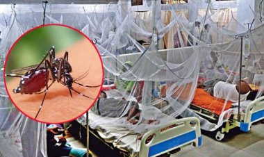 ডেঙ্গুতে প্রাণহানি ১১০০ ছাড়ালো, রোগী সোয়া ২ লাখ