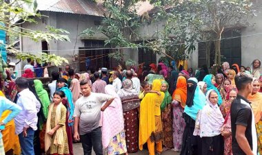 মুরাদনগরে বৃদ্ধাকে কুপিয়ে হত্যা