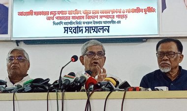সরকার দেশের অর্থনীতিকে মহাবিপর্যয়ের দিকে ঠেলে দিয়েছে: মির্জা ফখরুল 