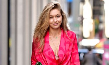 ফিলিস্তিনিদের প্রতি সহানুভূতি জানালেন জিজি হাদিদ