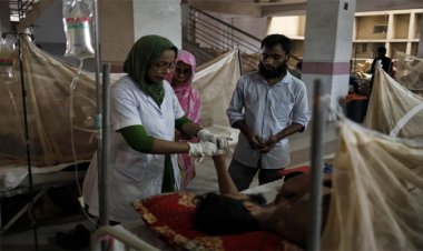 ডেঙ্গুতে আরও ১৩ জনের প্রাণ গেল, হাসপাতালে ১৬৭৩ নতুন রোগী
