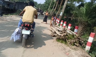 কনস্টেবলকে রেখে ইলিশ নিয়ে পালালেন পুলিশ কর্মকর্তা