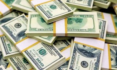 কচ্ছপের গতিতে রেমিট্যান্স