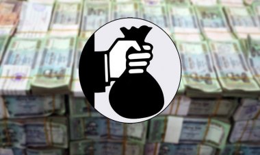 পাচারের টাকা ফেরাতে সহযোগিতা চেয়ে ২০ দূতাবাসে চিঠি