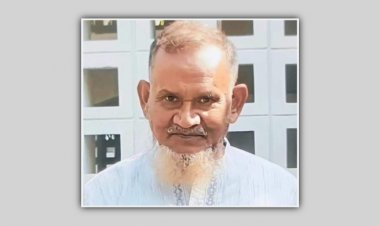  ডেঙ্গুর কাছে হেরে গেলেন সাংবাদিক আব্দুল মজিদ