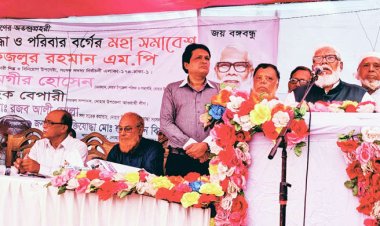  নির্বাচনে এসে জনসমর্থন যাচাই করুন: বিএনপিকে সালমান এফ রহমান
