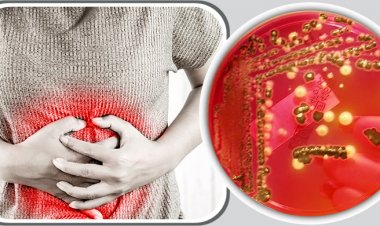 টাইফয়েড কীভাবে ছড়ায়, এর লক্ষণ কী কী?