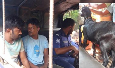 ছাগল চুরি করে পালানোর সময় যুবলীগের ২ কর্মী আটক!