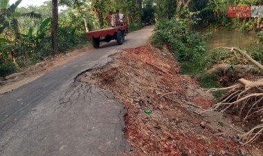 নলছিটি-মোল্লারহাট সড়কে ভাঙন, ভারী যান চলাচল বন্ধ