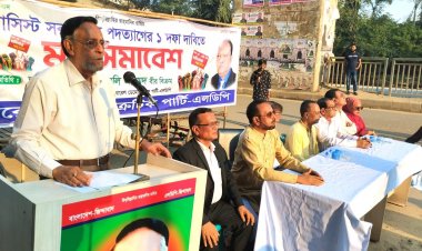 উন্মাদ ব্যক্তিরা দেশ পরিচালনা করছে: কর্নেল অলি