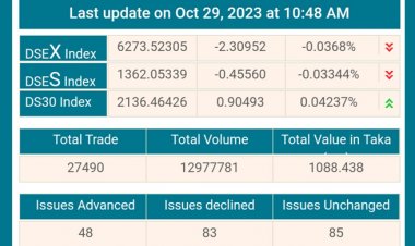 হরতালে যেমন চলছে শেয়ারবাজার