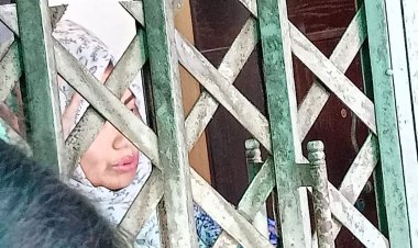 নিরাপত্তাহীনতায় ভুগছেন মির্জা আব্বাসের সহধর্মিণী