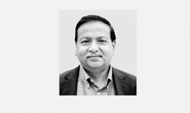 ড. সালিমুল হকের মৃত্যুতে পররাষ্ট্রমন্ত্রী-প্রতিমন্ত্রীর শোক