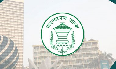 বুধবার চালু হচ্ছে দেশীয় মুদ্রার কার্ড ‘টাকা পে’  