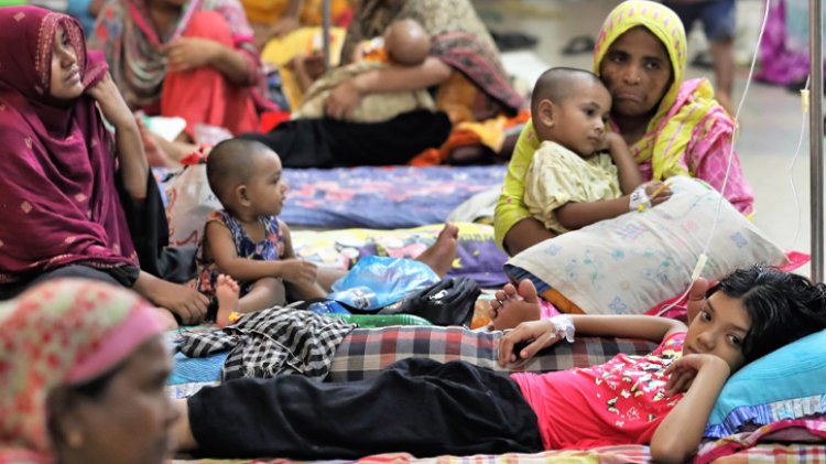 ডেঙ্গুতে একদিনে আরও ১১ প্রাণহানি, ২৫৯৬ রোগী হাসপাতালে ভর্তি