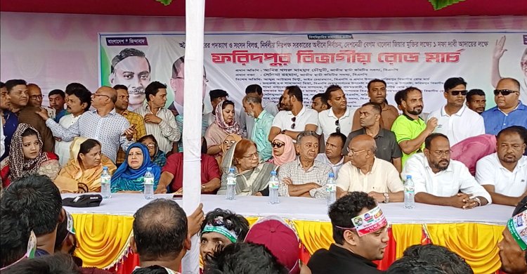 ভোট চুরির প্রকল্প সরকারের একমাত্র ভরসা: আমীর খসরু