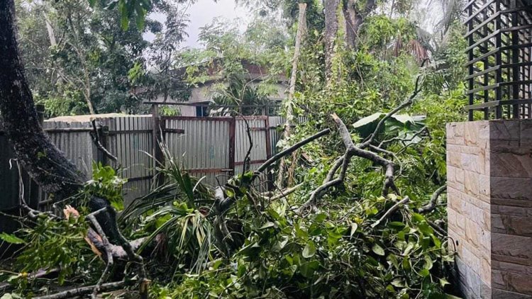 ফরিদপুরে এক মিনিটের ঝড়ে শতাধিক ঘরবাড়ি ক্ষতিগ্রস্ত
