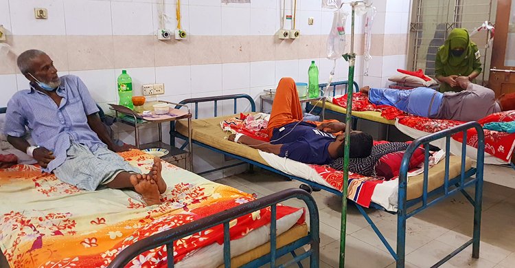  সিরাজগঞ্জে আরও ৭১ জনের ডেঙ্গু শনাক্ত