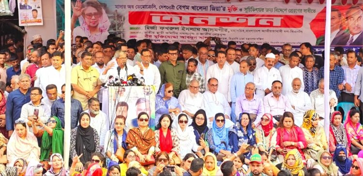 আ'লীগ সরকার নয়, এরা ভয়ানক দল : মির্জা ফখরুল