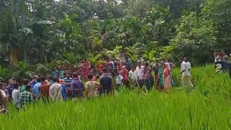 নিখোঁজের ২ দিন পর ধানখেতে মিলল যুবকের বস্তাবন্দি মরদেহ