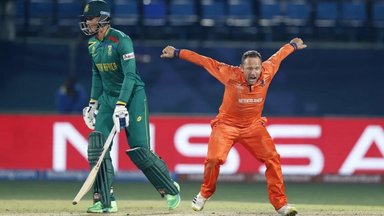 নেদারল্যান্ডসের কাছে ৮৭ রানে হারল বাংলাদেশ