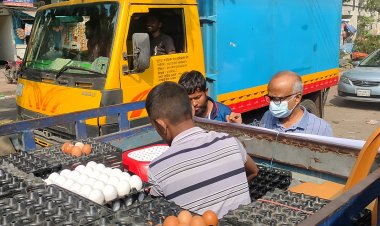 ঢাকায় মাইকে ডেকে বিক্রি হচ্ছে ডিম, সাদা ১১ টাকা লাল সাড়ে ১১