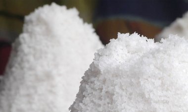 এবার লবণ আমদানির অনুমতি