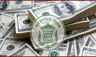 রিজার্ভ নেমেছে ১৯ বিলিয়ন ডলারে