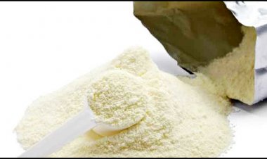 ২১০ টন গুঁড়াদুধ বাজারে ছাড়ার প্রস্তুতি কাস্টমসের, মান নিয়ে প্রশ্ন