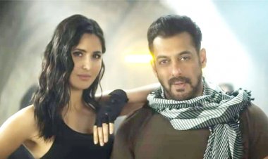 ‘টাইগার-৩’ মুক্তির আগে ভক্তদের প্রতি সালমান-ক্যাটরিনার অনুরোধ