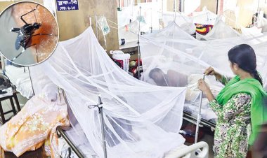 ডেঙ্গুতে ১০ জনের মৃত্যু, ঢাকার বাইরেই ৮