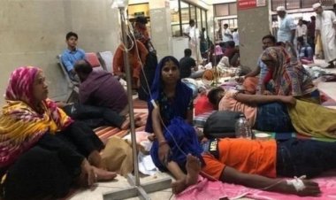 ডেঙ্গুতে একদিনে প্রাণ গেল ২৪ জনের