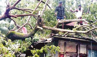 ‘মিধিলি’র আঘাতে ৭ জনের মৃত্যু