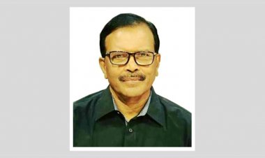 বিএনপি চেয়ারপারসনের উপদেষ্টা হাবিব গ্রেফতার