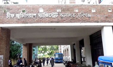 মা-মেয়েকে ধর্ষণের দায়ে দুইজনের যাবজ্জীবন