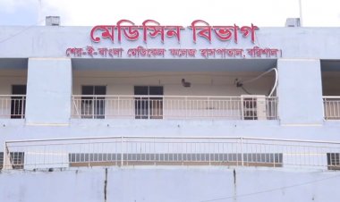 বরিশালে ডেঙ্গুতে বৃদ্ধার মৃত্যু, শনাক্ত ১২০