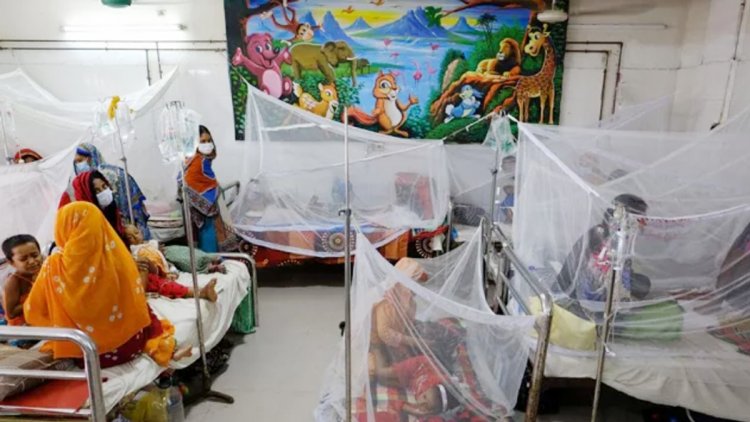 ডেঙ্গুতে আরও ১১ জনের মৃত্যু, শনাক্ত ১৩৩৩