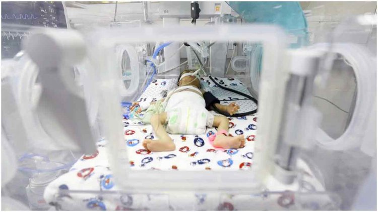 আল-শিফা হাসপাতাল: মৃত্যুর প্রহর গুনছে ইনকিউবেটরে থাকা ৪৫ শিশু