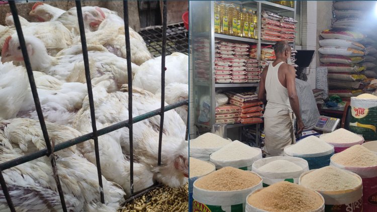 দাম কমেছে ব্রয়লার-আলু-পেঁয়াজের, বেড়েছে ডালের