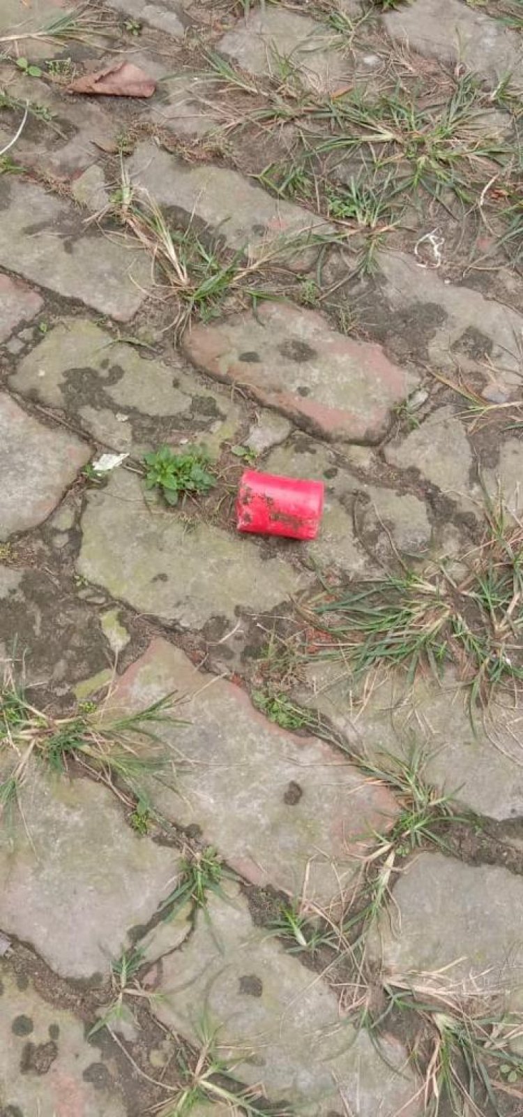 বিএনপি নেতা মির্জা আব্বাসের বাসায় ককটেল নিক্ষেপ