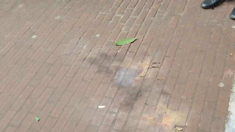 আদালতে ককটেল বিস্ফোরণের ঘটনায় মামলা