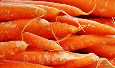 যেভাবে গাজর খেলে মিলবে সব পুষ্টিগুণ