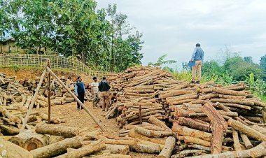 কয়লার বদলে কাঠ, ২ ইটভাটাকে দেড় লাখ টাকা জরিমানা