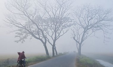 চলতি মাসেই শৈত্যপ্রবাহ, তাপমাত্রা কমার আভাস