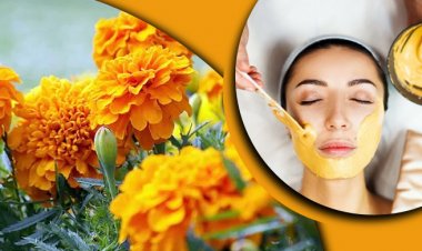 গাঁদা ফুলের গুণেই ত্বকের সব সমস্যার হবে সমাধান