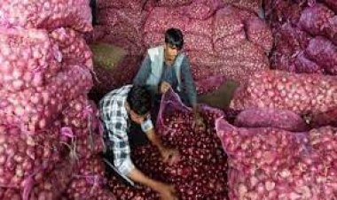 পিয়াজ কারসাজিতে পুরনো সিন্ডিকেট