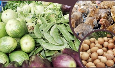 দাম বেড়েছে ডিম-মুরগির, সবজি স্থিতিশীল