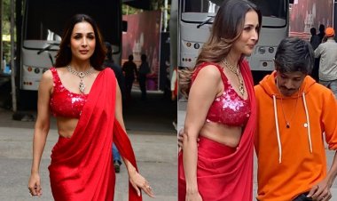 শাড়ির আড়ালে পেটে মেদ, ট্রলের শিকার মালাইকা