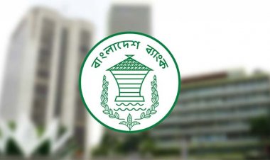 বীমা ব্যবসার যোগ্যতাই নেই ৩৪ ব্যাংকের